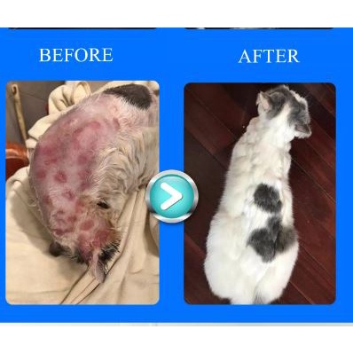 Xịt Ghẻ, Nấm Da ,Viêmm Da Chó Mèo GUARD 100ml & PETHERA 120ml