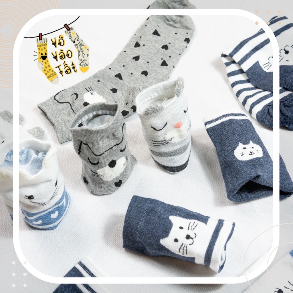 TẤT VỚ CỔ CAO MÈO XÁM CÓ TAI