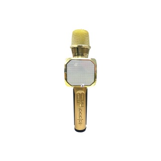 Mic kèm loa bluetooth SD10