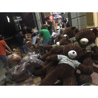 Gấu bông m5 vải may