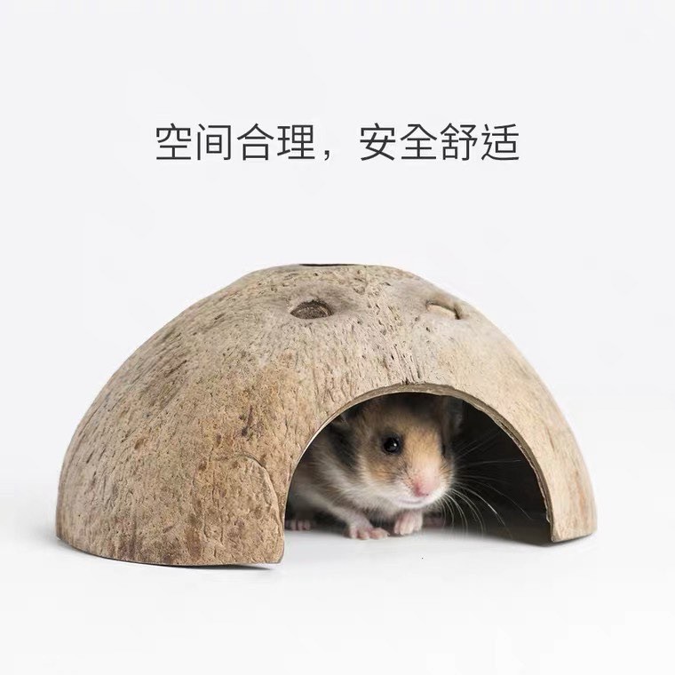 ( 2 TẶNG 1 )nhà gáo dừa cho hamster / chim / sóc / bò sát