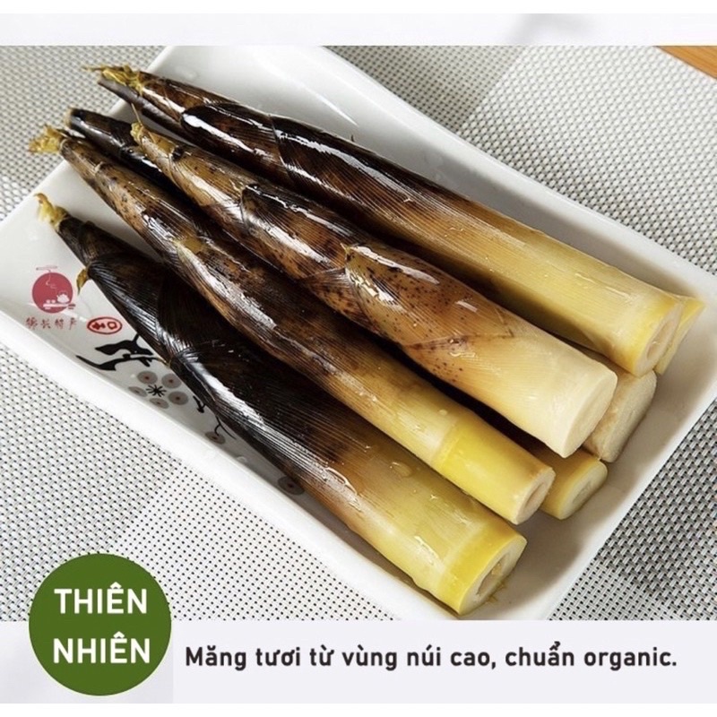 Măng Trúc Cay Yuyu Đặc Sản Tứ Xuyên - Ăn Vặt 492