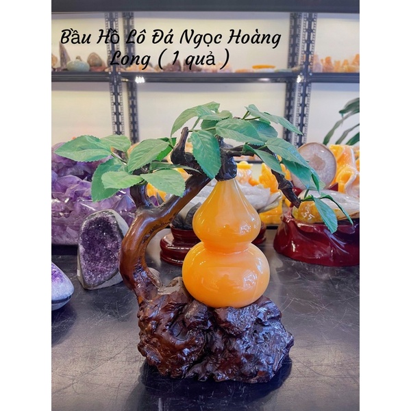 Cây Bầu Hồ Lô Đá Ngọc Hoàng Long Phong Thuỷ