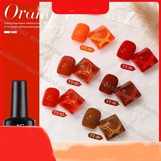 Set sơn gel AS cam đất 6 màu TT