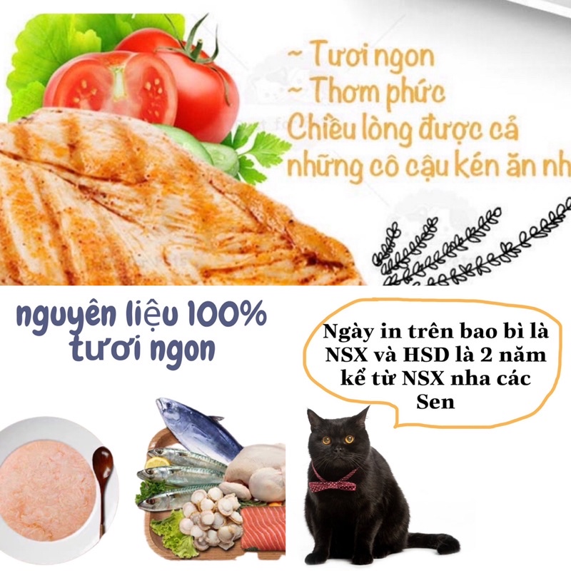 Pate WANPY cho mèo gói 80g 7 vị