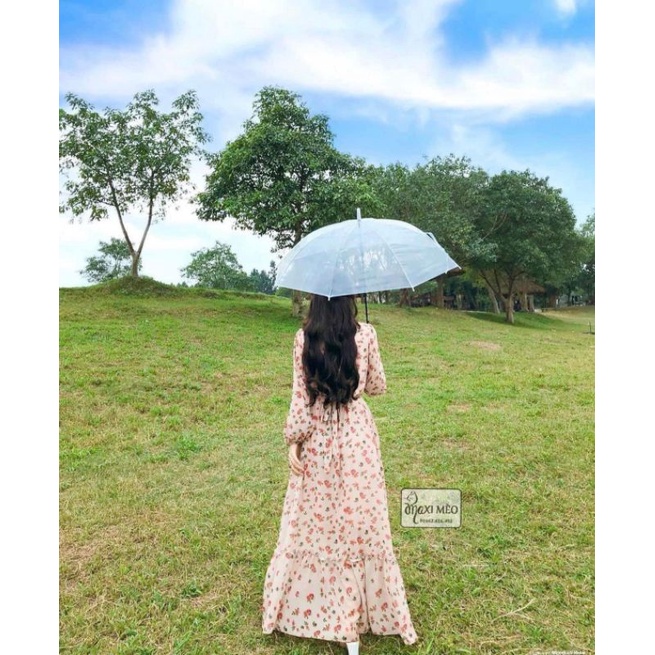 Dù trong suốt phong cách hàn quốc / Ô dù đi mưa, đi du lịch , chụp hình ngoại cảnh