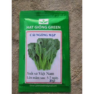 Hạt giống cải ngồng mập cải ngồng mập hoa vàng 10 gram