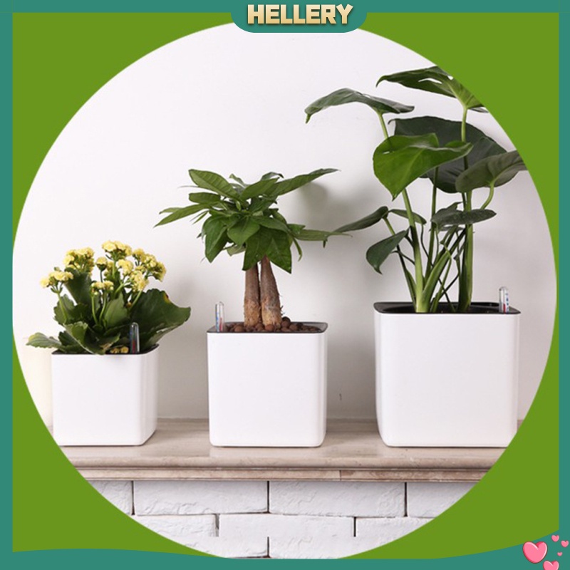 Chậu Trồng Cây Tự Tưới Nước Bằng Nhựa Hiện Đại