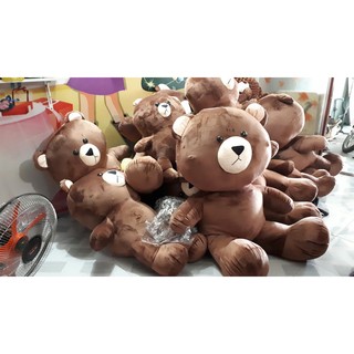 Gấu bông Brown 1M