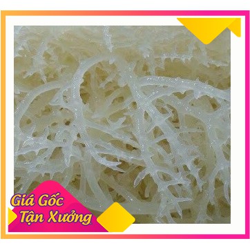 500gr Rong sụn gai tươi/rong sụn muối dùng làm gỏi/rong sụn tươi | BigBuy360 - bigbuy360.vn