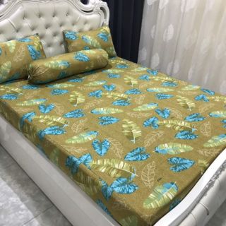 Ga nệm Hàn Quốc