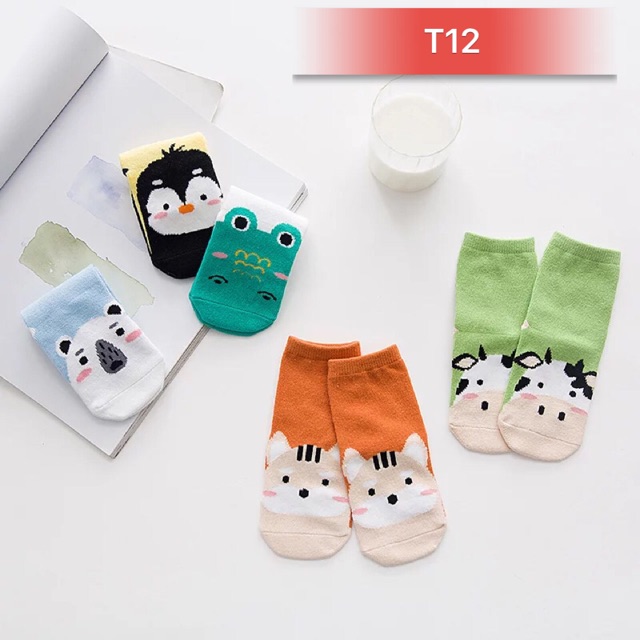 Combo 5 đôi tất trẻ em đáng yêu chất cotton siêu ôm chân không xù không bai( T12)