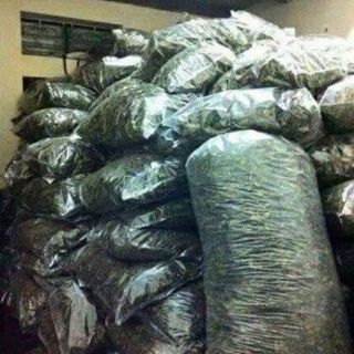 Chè vằng rừng 1 kg