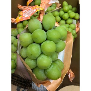 Cây Nho Mẫu Đơn (Shine Muscat) Nhật Bản