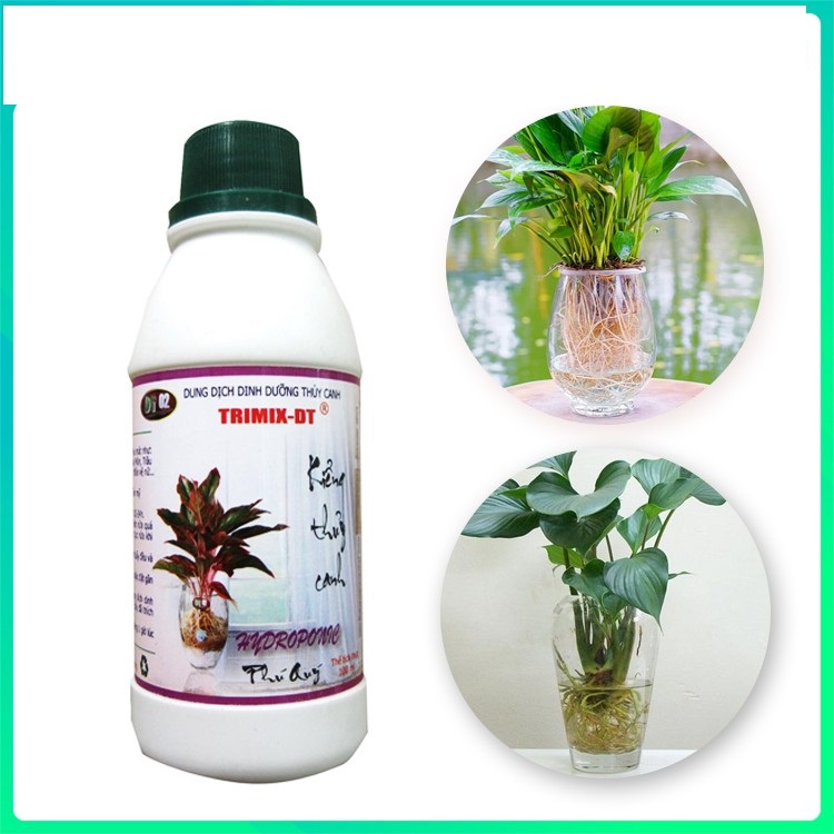 Dung Dịch Dinh Dưỡng Thủy Canh TRIMIX DT 100ml/Chai-Thân Thiện Môi Trường, Chuyên Cho Cây Kiểng, Giúp Cây Phát Triển Tốt