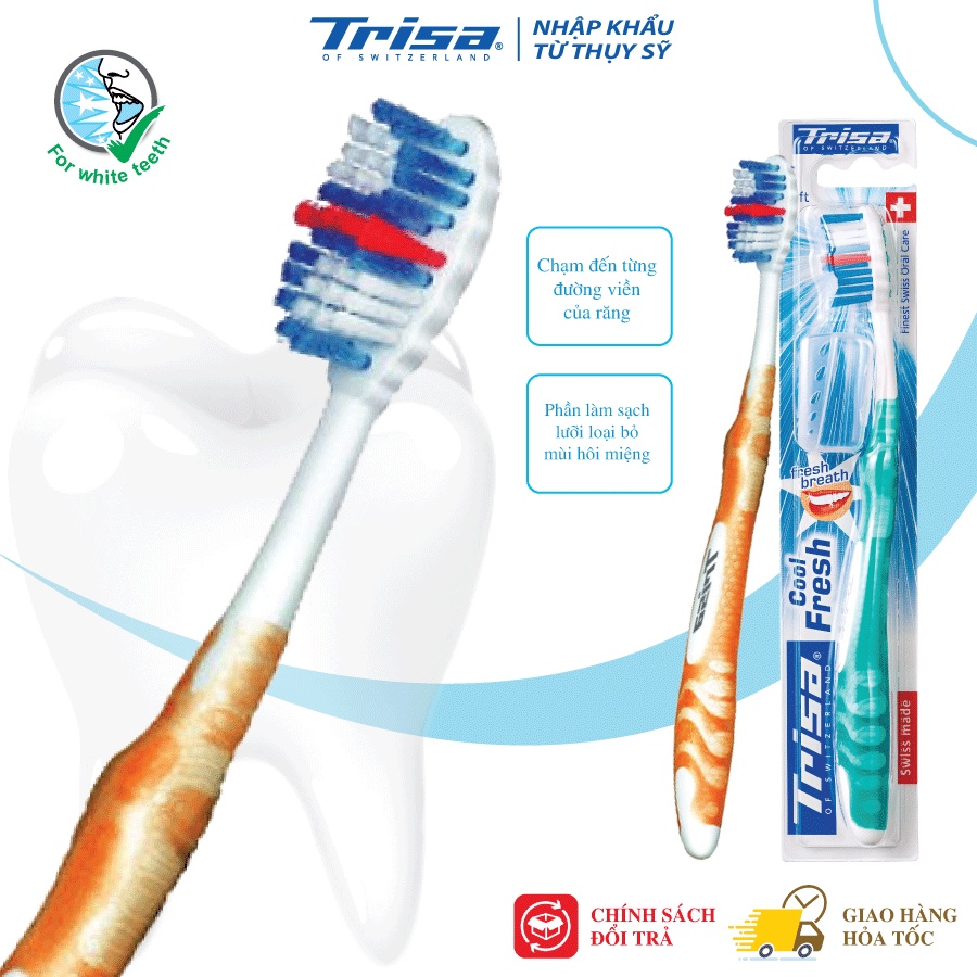Bàn Chải Đánh Răng Trisa Cool&amp;fresh Với Lông Bàn Chải All-round Fresh Chạm Đến Từng Viền Răng Để Loại Bỏ Những Mảng Bám