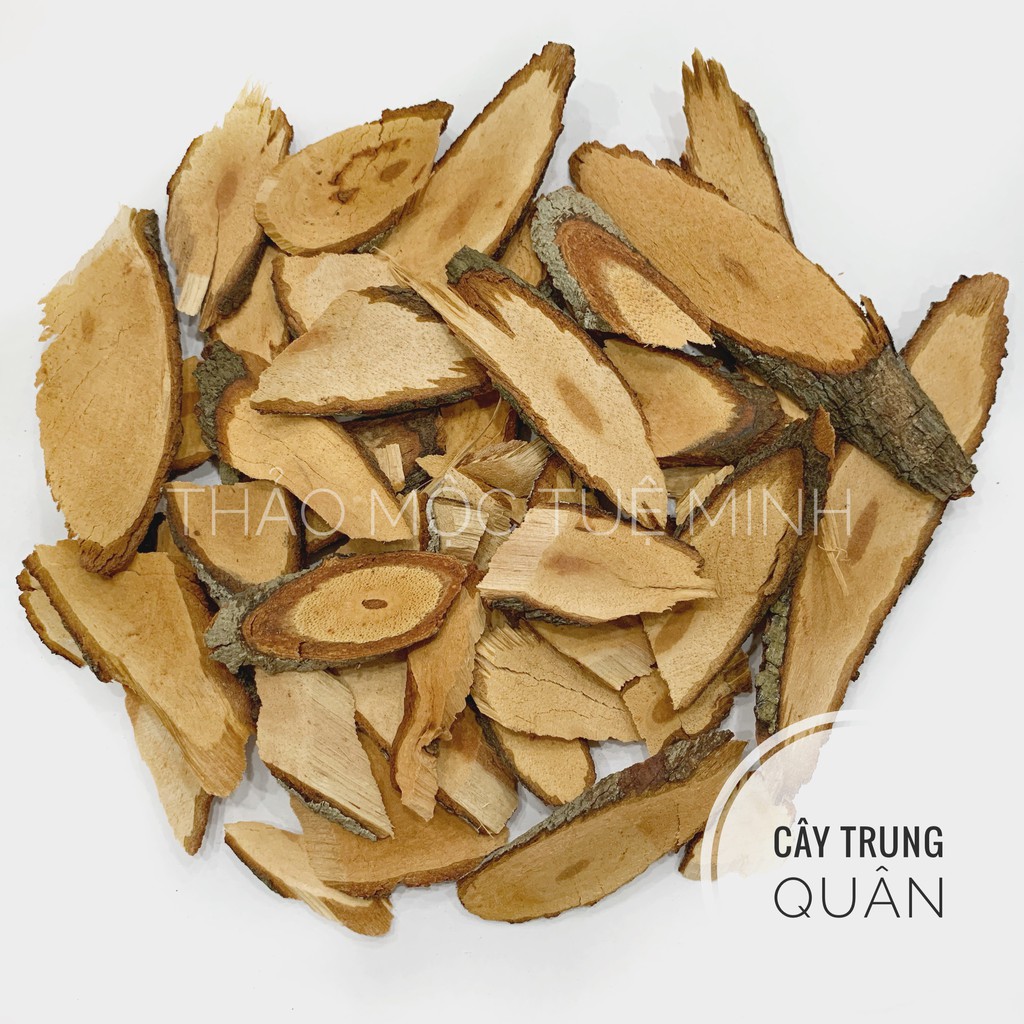 🌿[VỊ THUỐC CỦA NÚI RỪNG] 🌿CÂY TRUNG QUÂN - TRỊ SỐT RÉT, TRỢ KHÍ, LƯU THÔNG MÁU HUYẾT, MẠNH GÂN, KHỎE XƯƠNG