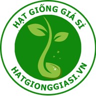 Hạt giống hoa Hạt giống rau sỉ