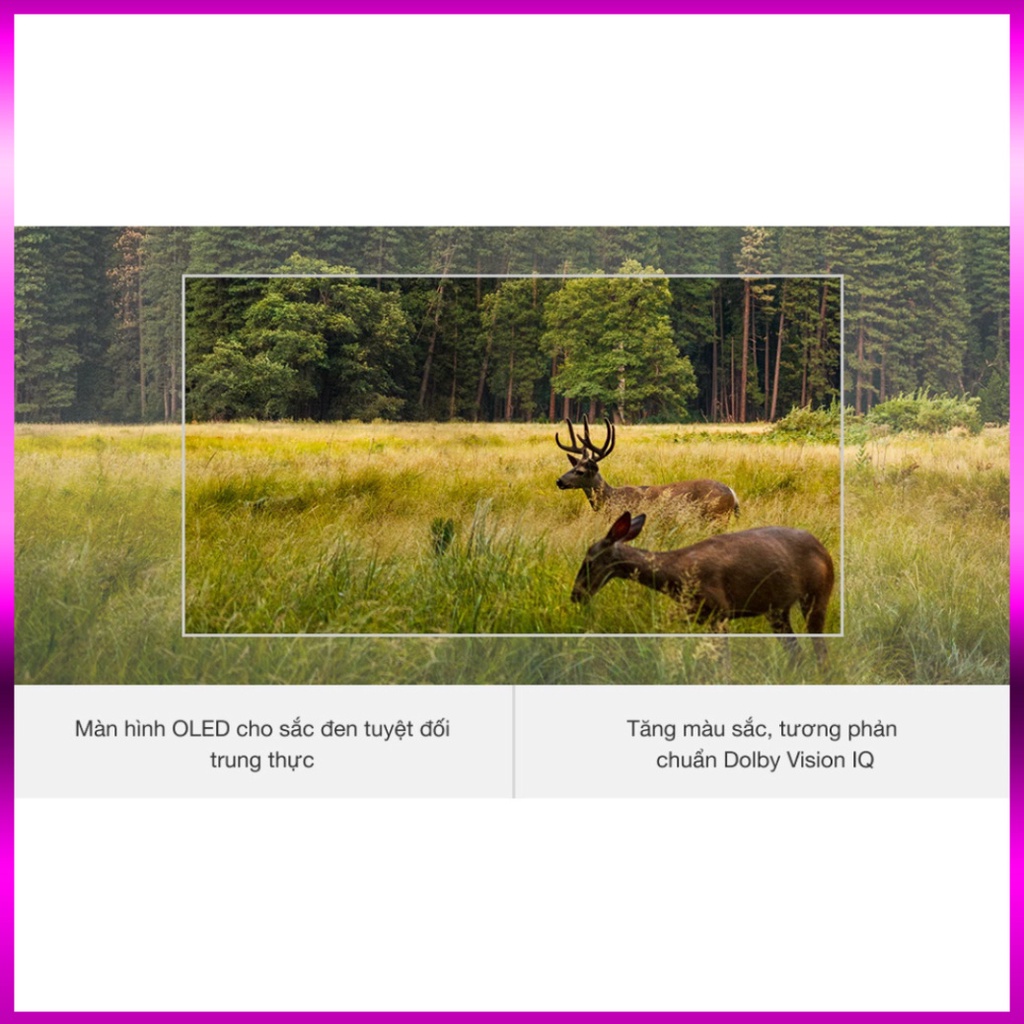(mới) Tivi OLED LG 4K 48 inch 48C1PTB _Giao nhanh , lắp đặt miễn phí đầy đủ toàn quốc