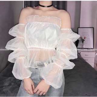 Áo Voan Trắng Hot Trend Tay Lưới Dài Kiểu Mới Độc Lạ TTSLA0266