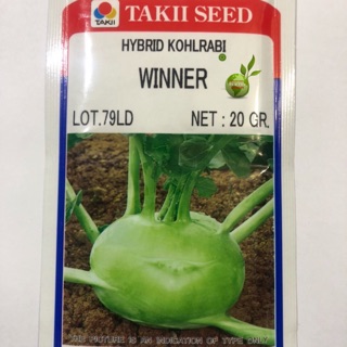 HẠT GIỐNG SU HÀO WINNER F1 (gói 20gr)