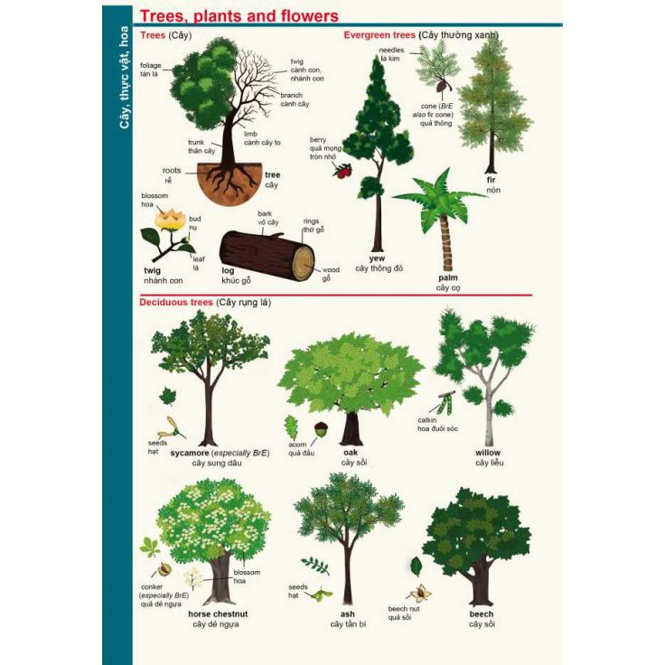 Sách - Từ điển Anh Việt dành cho học sinh - trắng xanh- MCBooks Tặng Kèm Bookmark