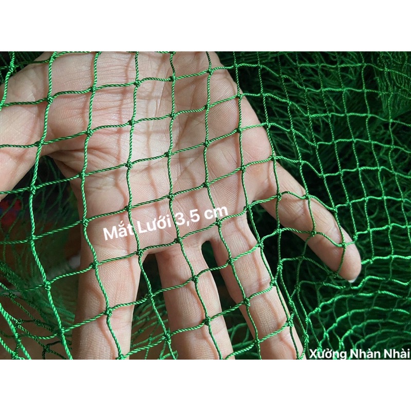 LƯỚI VÉT DÙ 10m cao 2m, Mắt lưới 3,5 cm, Túi 5m_Hàng Chất Lượng Cao Độ bền 4-5 năm