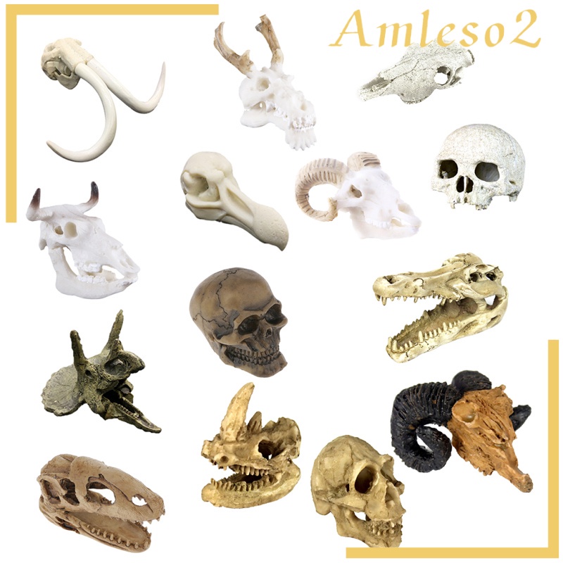 Đầu lâu / hang động rắn dùng làm đồ trang trí môi trường sống cho bò sát