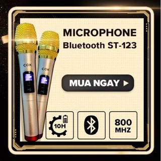 Micro Không Dây C.O.K ST-123 (2 Micro) [Phù Hợp Với Mọi Loa Kéo & Dàn Âm ly, jack 6.5, Bắt Âm Tốt] - Hàng Mới 100% Chính