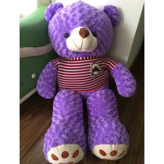 Gấu Teddy 1m2 - Gấu bông Teddy khổ m2