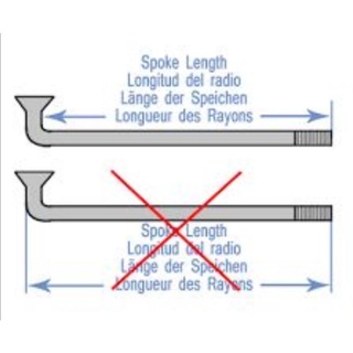 Nan Hoa (Căm Xe Đạp) Inox 304