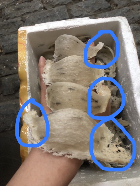 Chân Yến rút lông nguyên chất + quà tặng 🎁 | BigBuy360 - bigbuy360.vn