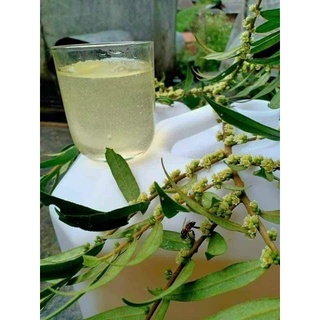 Mật ong trắng 1000ml