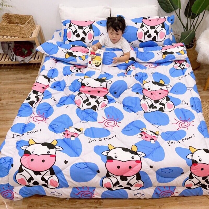 chăn phao cotton poly set 5 món