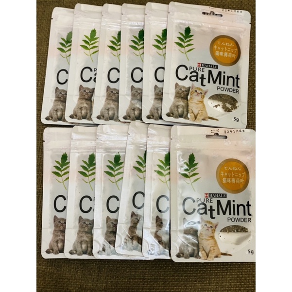 Cỏ mèo bạc hà catmint gói 5g