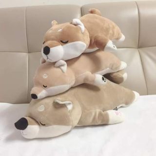 Chó bông bạn hà