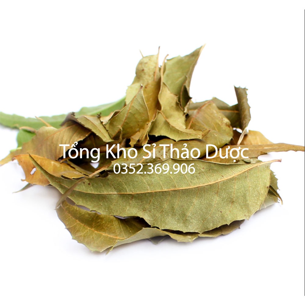 Lá neem khô Ấn Độ 1kg (Ổn định, kiểm soát đường huyết)