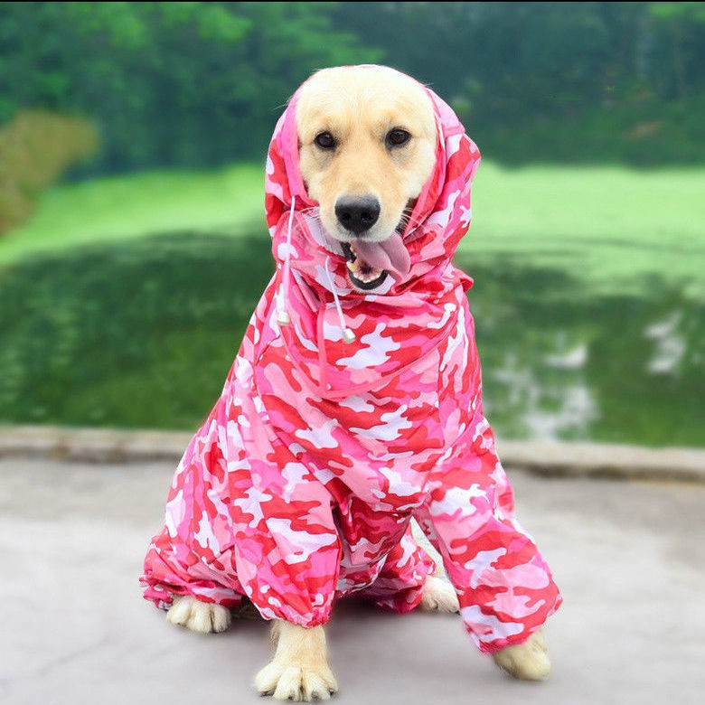 Áo mưa cho chó lớn và nhỏ Teddy chống thấm Golden Retriever Alaska bốn chân đồ dùng vật nuôi trọn gói