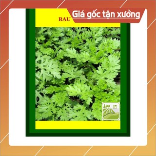 20G - Hạt Giống Rau Tần Ô