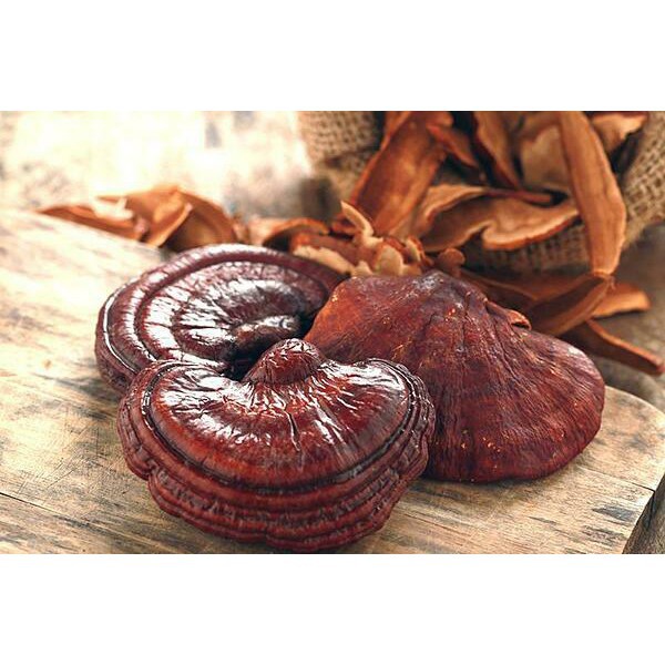 Nấm linh chi đỏ Hộp 1 kg hàn quốc[ HÀNG MỚI VỀ]