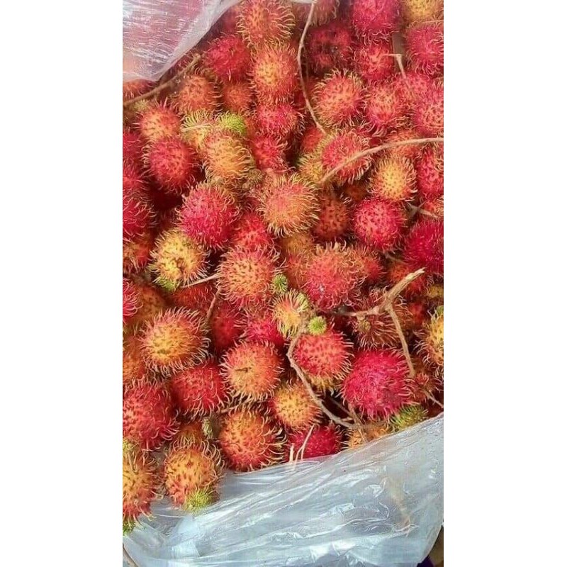 Mứt chôm chôm 500g