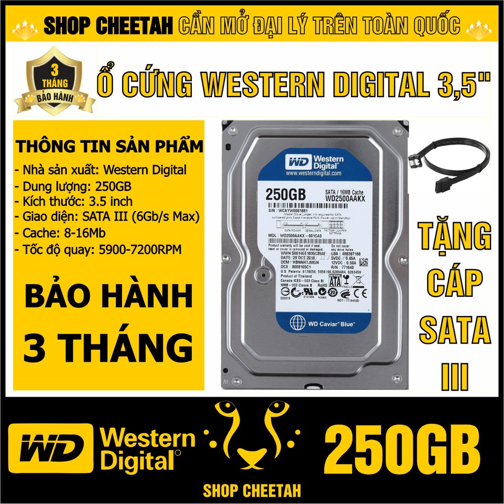 Ổ cứng 250GB Western Digital HDD 3.5” - Chính Hãng – Bảo hành 3 tháng – Tháo máy đồng bộ mới 99% - HDD WD xanh