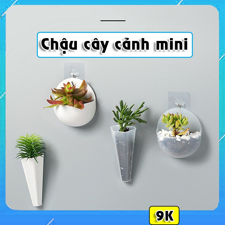 Chậu Cây Cảnh Mini Treo Tường Trang Trí  Phòng Tặng Kèm Móc Dán Tường