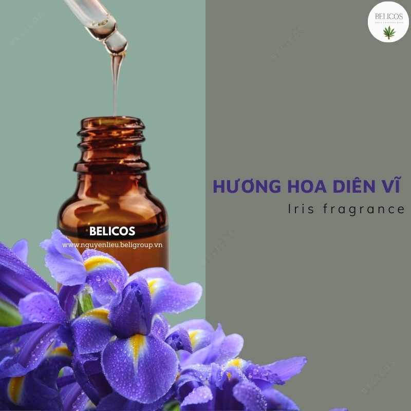 Hương liệu trong mỹ phẩm  - Tạo hương thơm lâu bền cho nước hoa, sáp thơm, mỹ phẩm