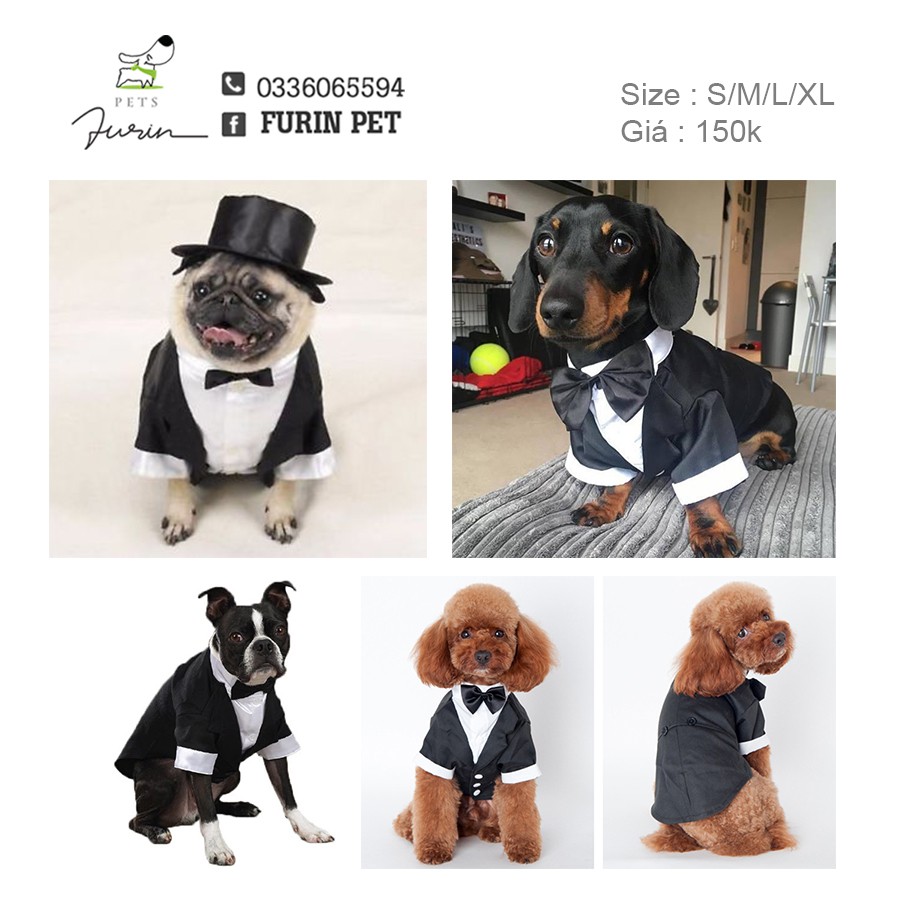 Áo Vest cho chó mèo