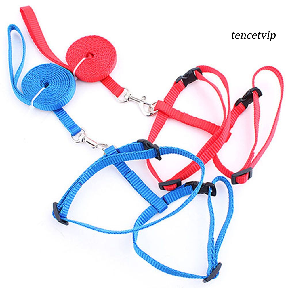 Dây dắt mèo đi dạo bằng nylon có thể điều chỉnh tiện dụng