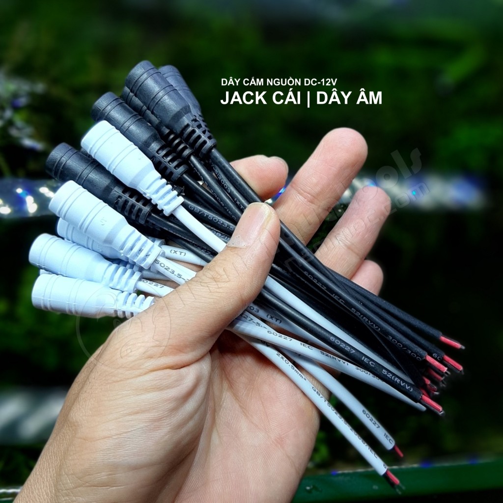 Dây Âm DC-12V | Jack Cái 5.5*2.1mm | Cổng Âm DC-12V - Jack DIY Đèn, Quạt Thuỷ Sinh