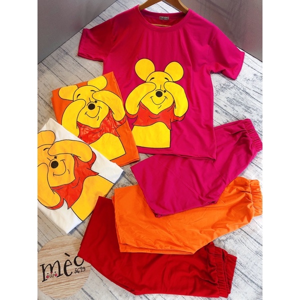 [Chuyên Sỉ] Bộ thun gấu ngố hình in lụa chất thun cotton - hàng đẹp may kĩ chuẩn shop