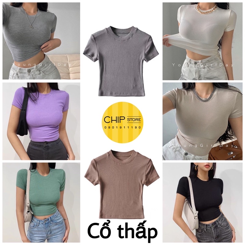 ÁO THUN XUẤT ÂU SIÊU CO GIÃN HOT INS FORM CỰC ĐẸP (ảnh thật)