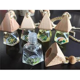 Lọ khuếch tán tinh dầu treo